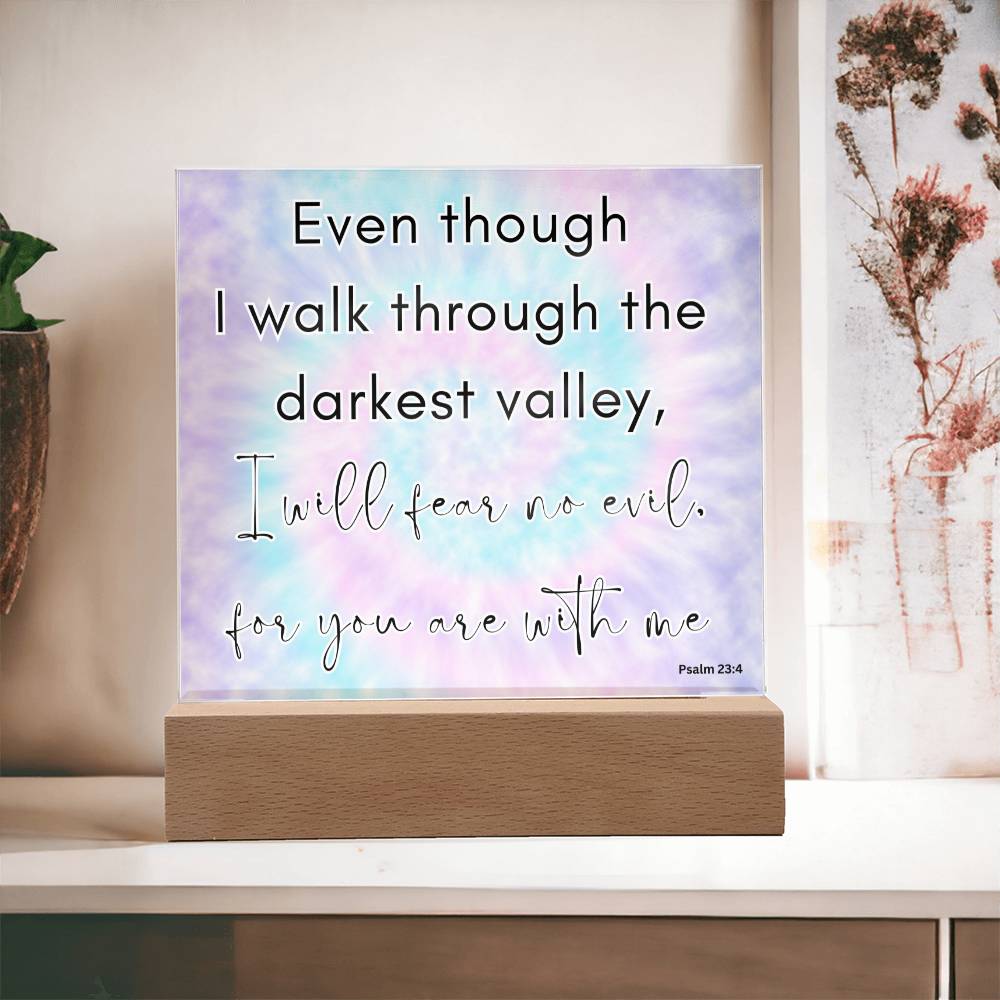 Tie Dye Bible Verse LED light, Favorite Bible Verse Gift, Christian Home Decor, Faith Based Decor, Religious LED Night Light , New Home Gift, Christmas Gift Christian Acrylic Plaque