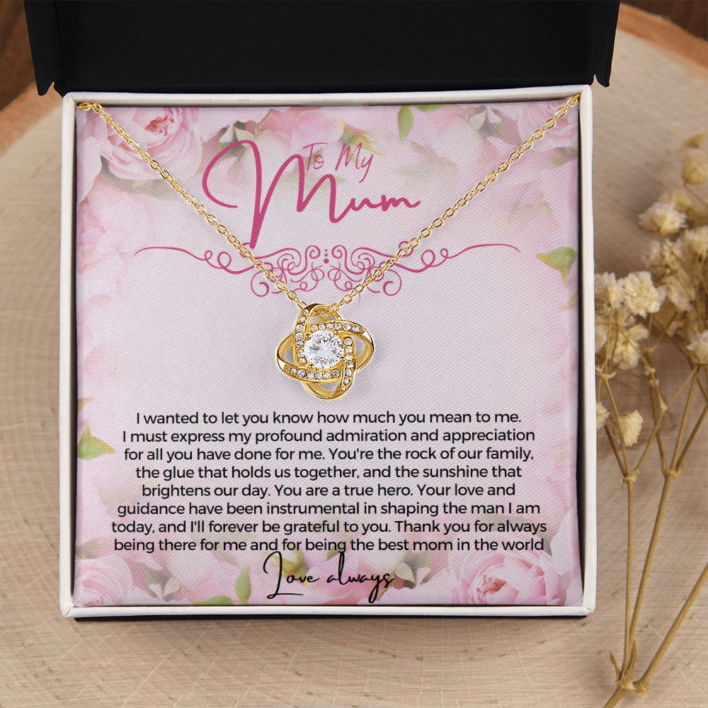 To My Mum I wanted to let you know how much you mean to me Necklace Jewelry From Son Gift for Mothers day