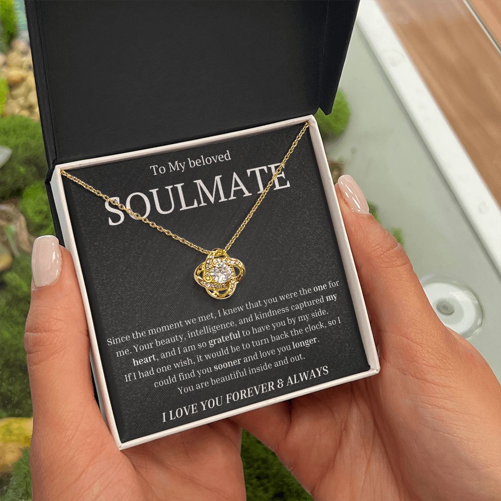 To My beloved soulmate Since the moment we met, I knew that you were the one for me Necklace