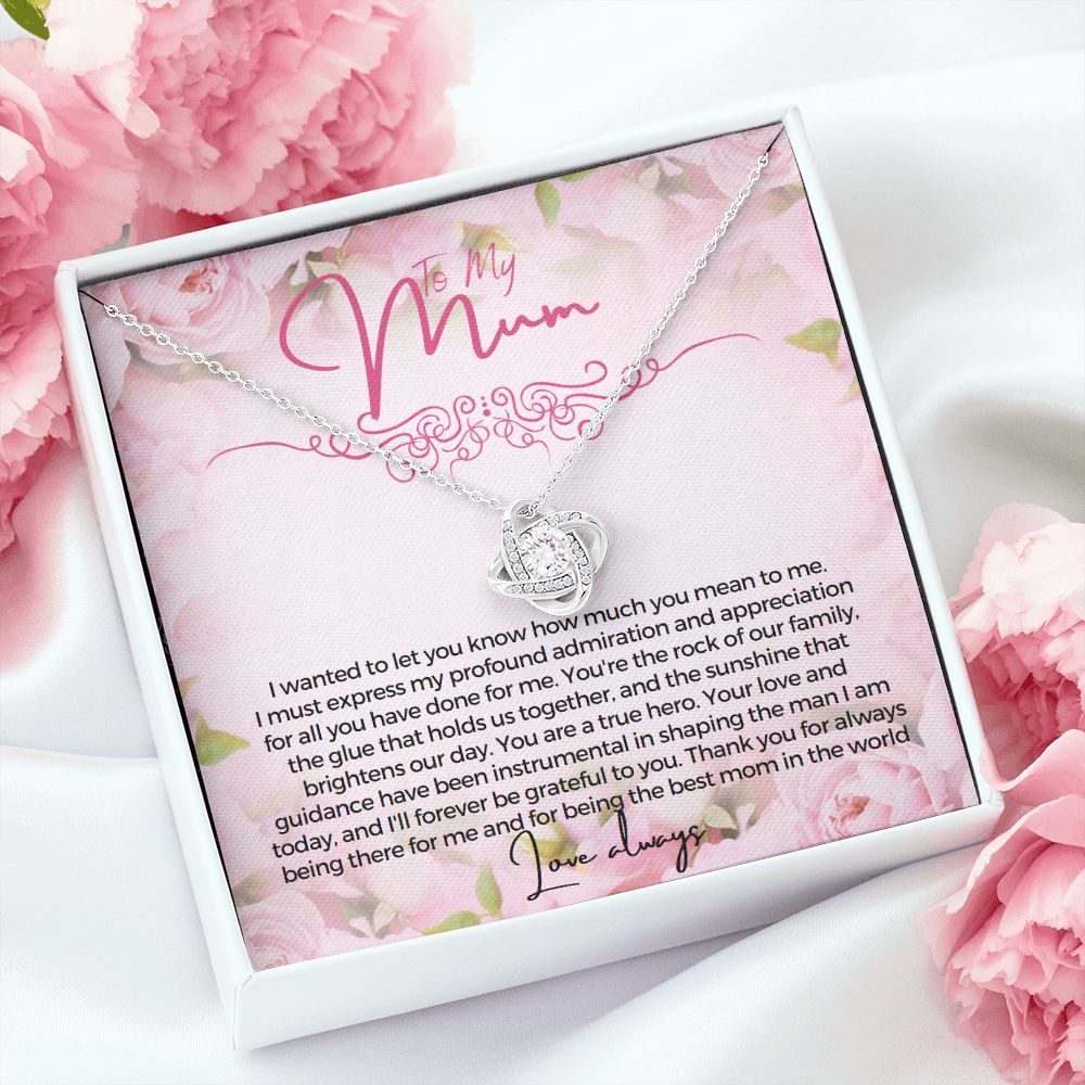 To My Mum I wanted to let you know how much you mean to me Necklace Jewelry From Son Gift for Mothers day