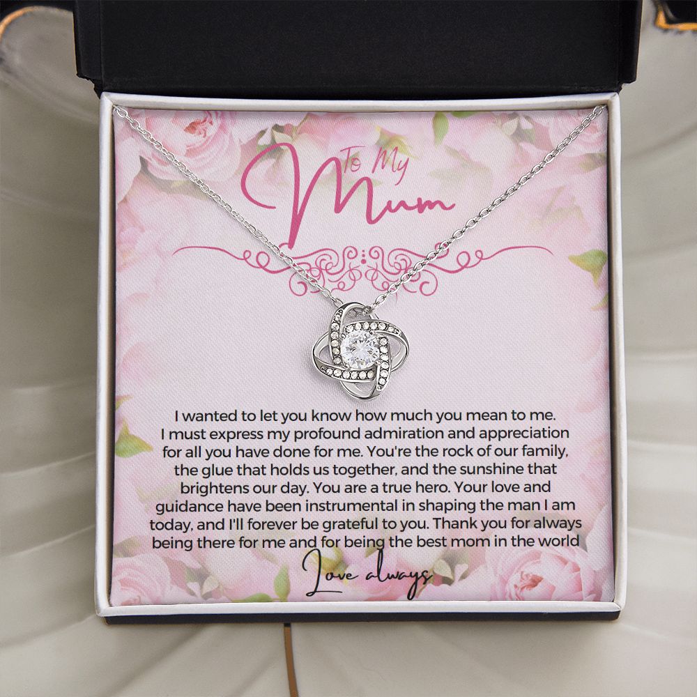 To My Mum I wanted to let you know how much you mean to me Necklace Jewelry From Son Gift for Mothers day