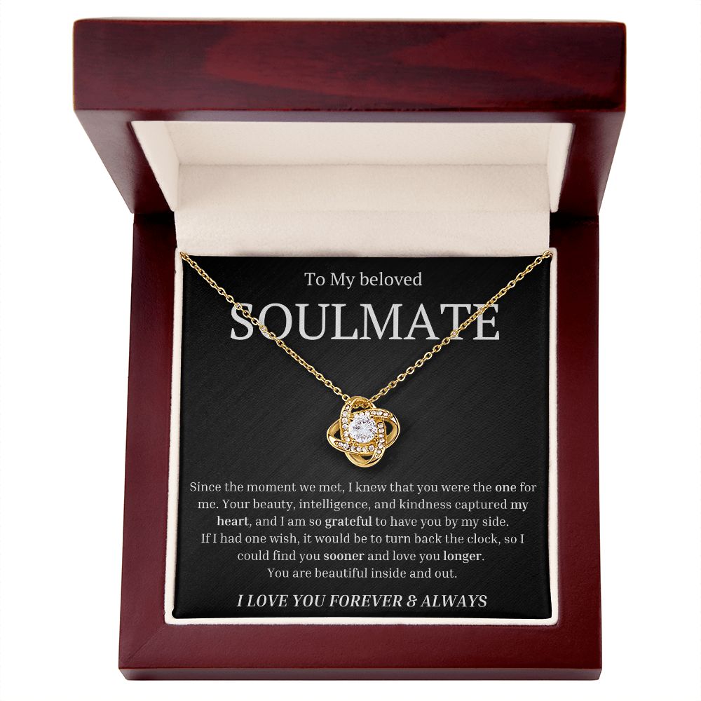 To My beloved soulmate Since the moment we met, I knew that you were the one for me Necklace