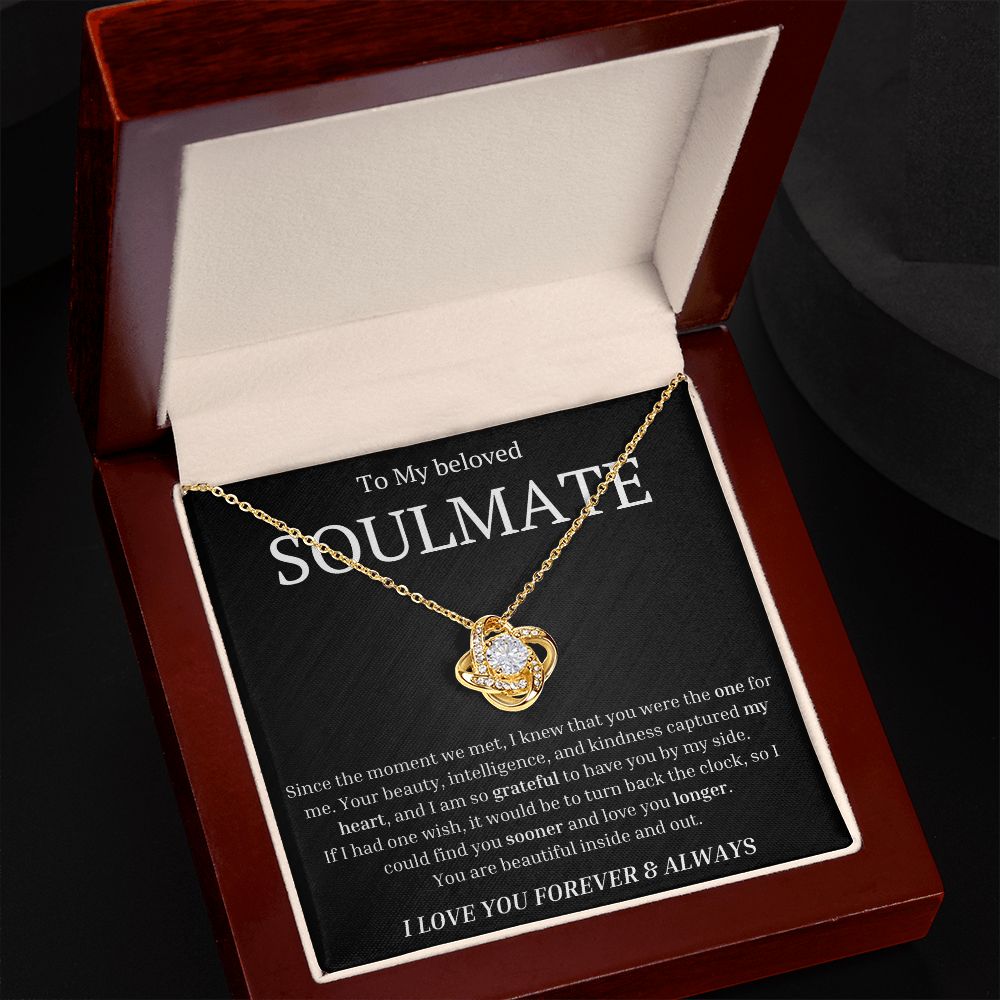 To My beloved soulmate Since the moment we met, I knew that you were the one for me Necklace
