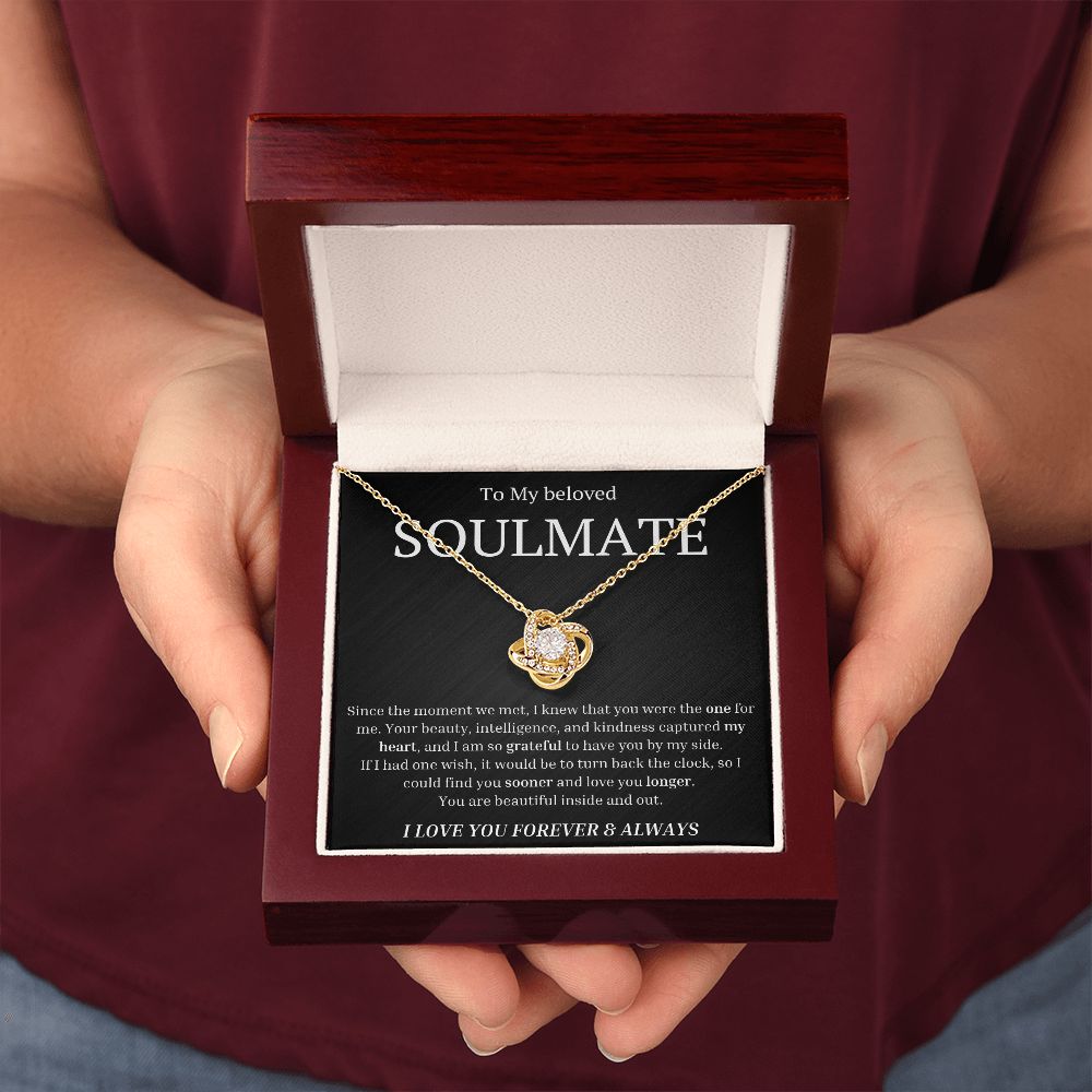 To My beloved soulmate Since the moment we met, I knew that you were the one for me Necklace