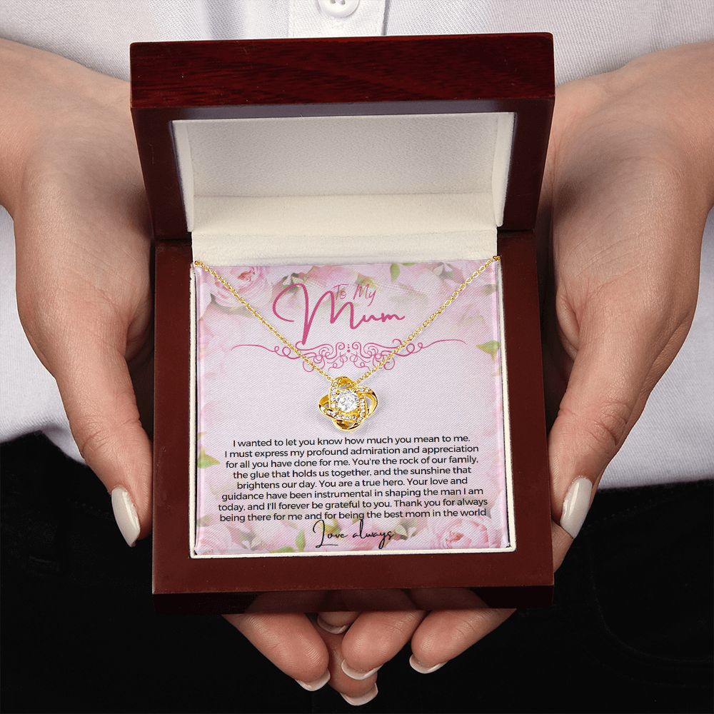 To My Mum I wanted to let you know how much you mean to me Necklace Jewelry From Son Gift for Mothers day