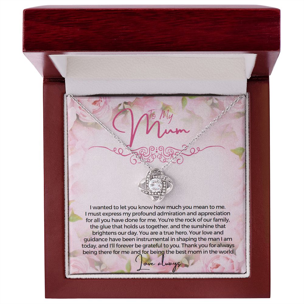 To My Mum I wanted to let you know how much you mean to me Necklace Jewelry From Son Gift for Mothers day