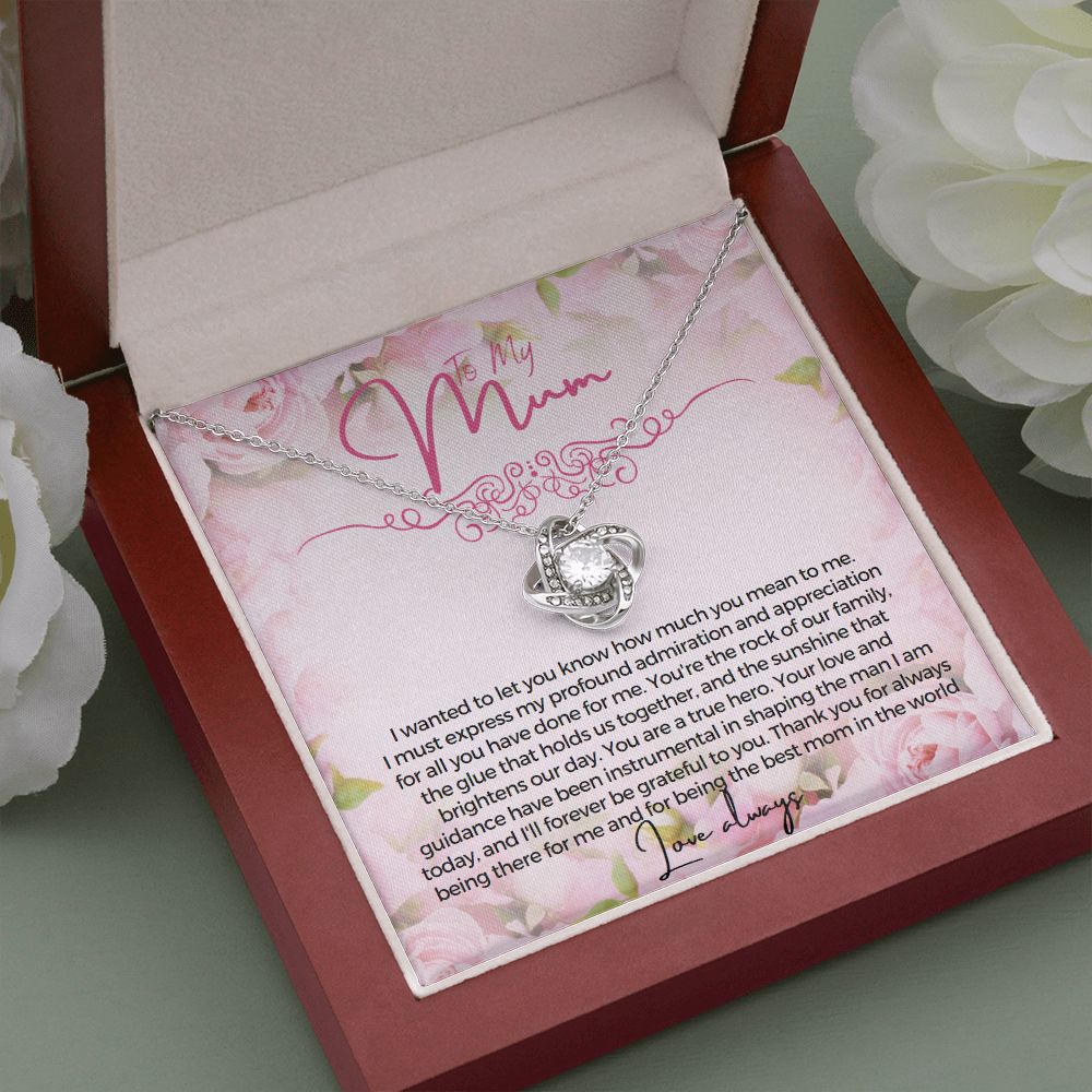 To My Mum I wanted to let you know how much you mean to me Necklace Jewelry From Son Gift for Mothers day
