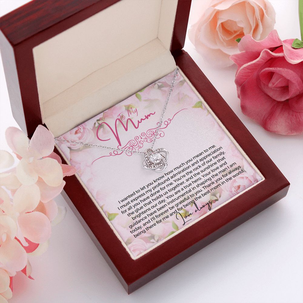 To My Mum I wanted to let you know how much you mean to me Necklace Jewelry From Son Gift for Mothers day