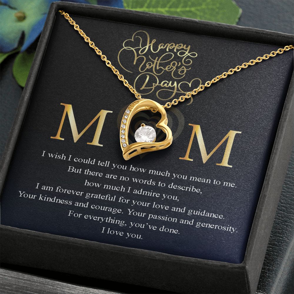 Mom, I wish I could tell you how much you mean to me Message Card Necklace