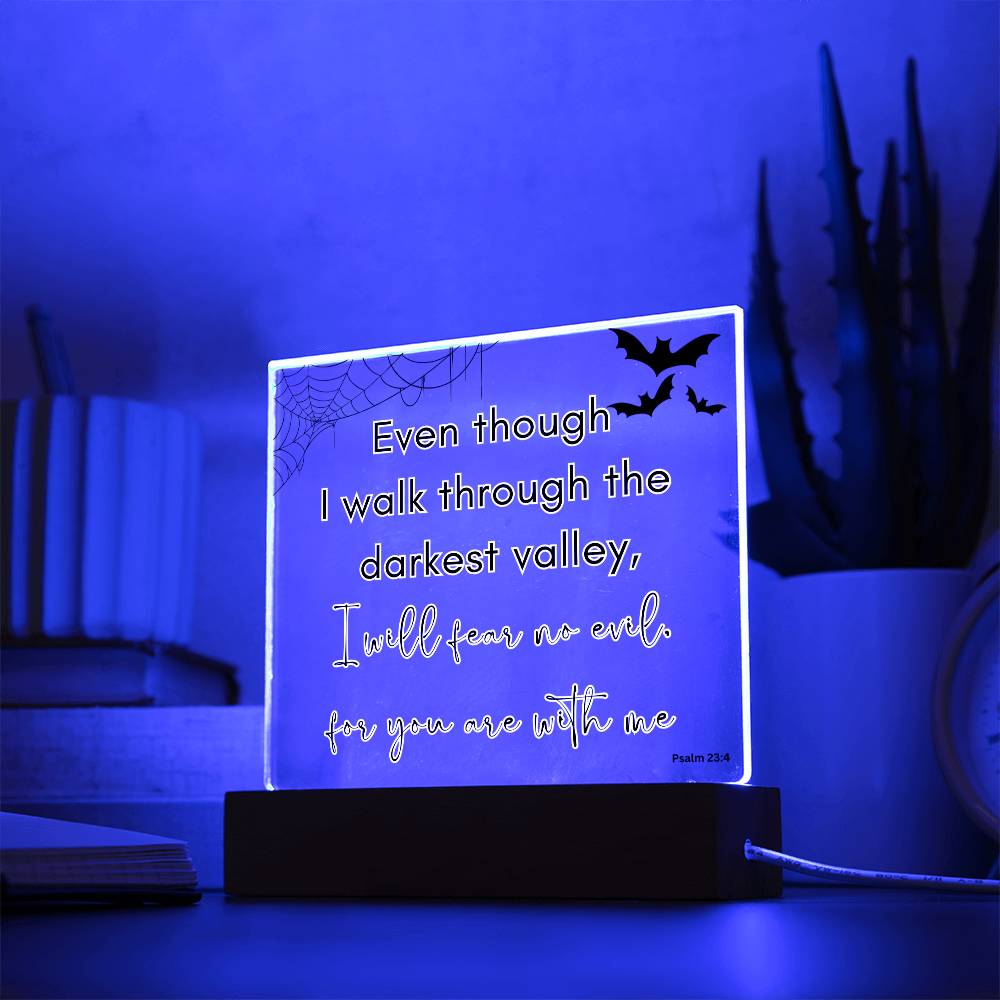 Bible Verse LED light, Favorite Bible Verse Gift, Christian Home Decor, Faith Based Decor, Religious LED Night Light , New Home Gift, Christmas Gift Christian Acrylic Plaque