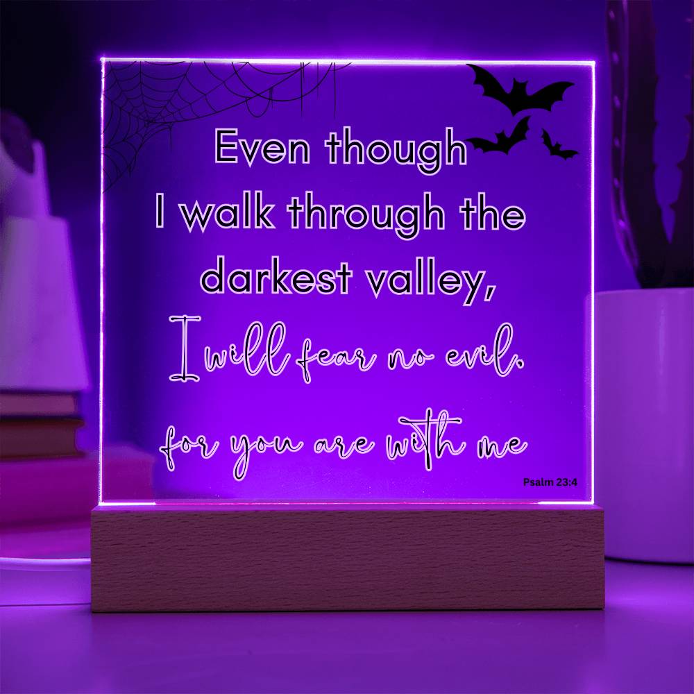 Bible Verse LED light, Favorite Bible Verse Gift, Christian Home Decor, Faith Based Decor, Religious LED Night Light , New Home Gift, Christmas Gift Christian Acrylic Plaque