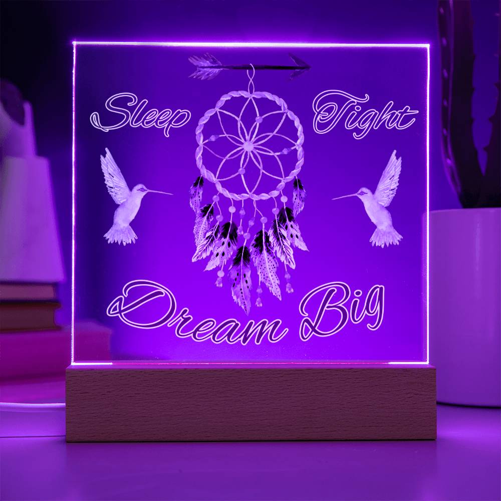 Magical birds Dreamcatcher Acrylic Night Light for Kids - Chase Dreams with Light