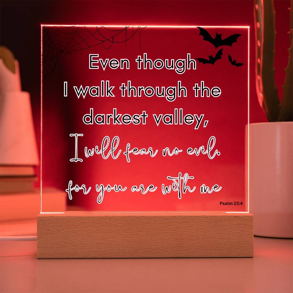 Bible Verse LED light, Favorite Bible Verse Gift, Christian Home Decor, Faith Based Decor, Religious LED Night Light , New Home Gift, Christmas Gift Christian Acrylic Plaque