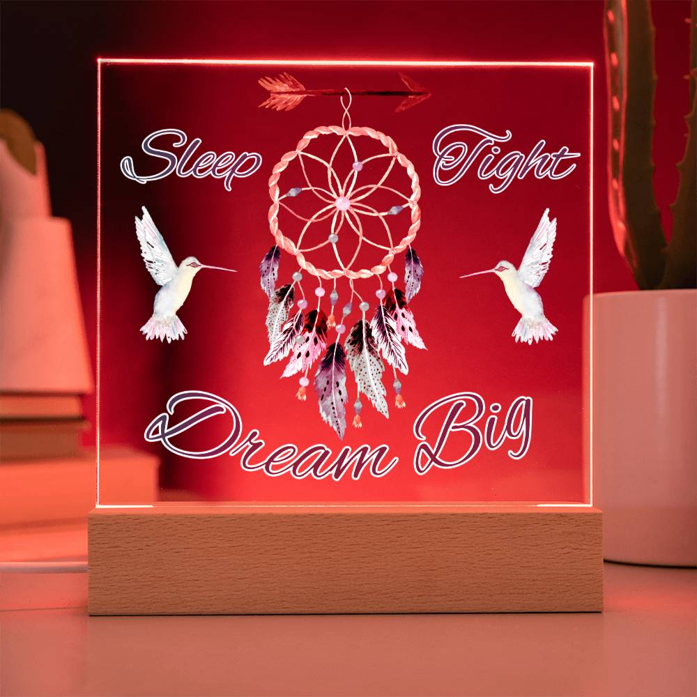 Magical birds Dreamcatcher Acrylic Night Light for Kids - Chase Dreams with Light