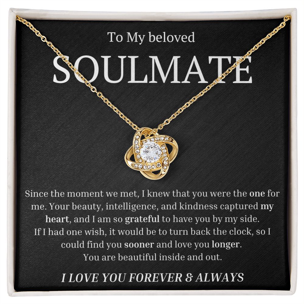 To My beloved soulmate Since the moment we met, I knew that you were the one for me Necklace
