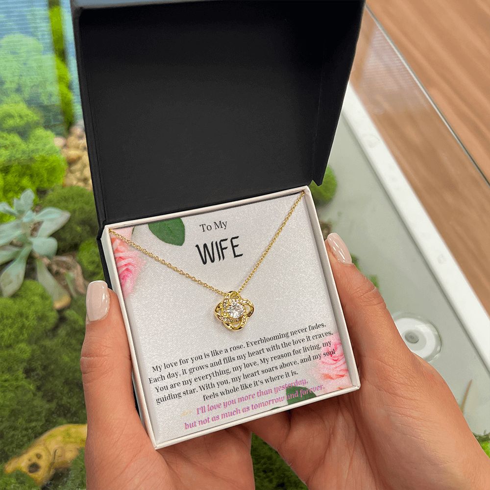 To My Wife Necklace, Anniversary Gift for Wife , Wife Birthday, Wife Necklace, Valentines Day Gift For Wife