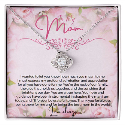 To My Mom I wanted to let you know how much you mean to me Necklace Jewelry From Son Gift for Mothers day