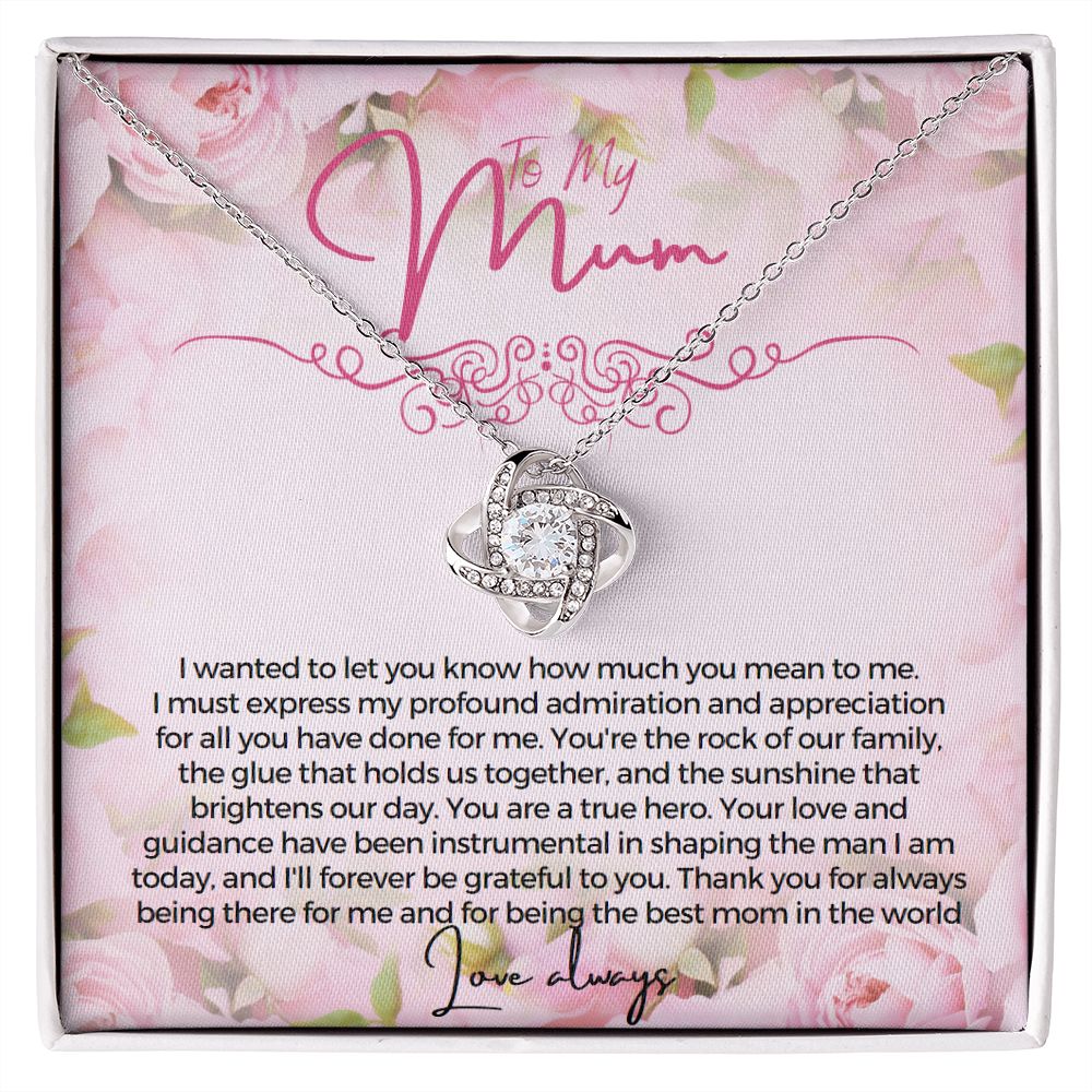 To My Mum I wanted to let you know how much you mean to me Necklace Jewelry From Son Gift for Mothers day