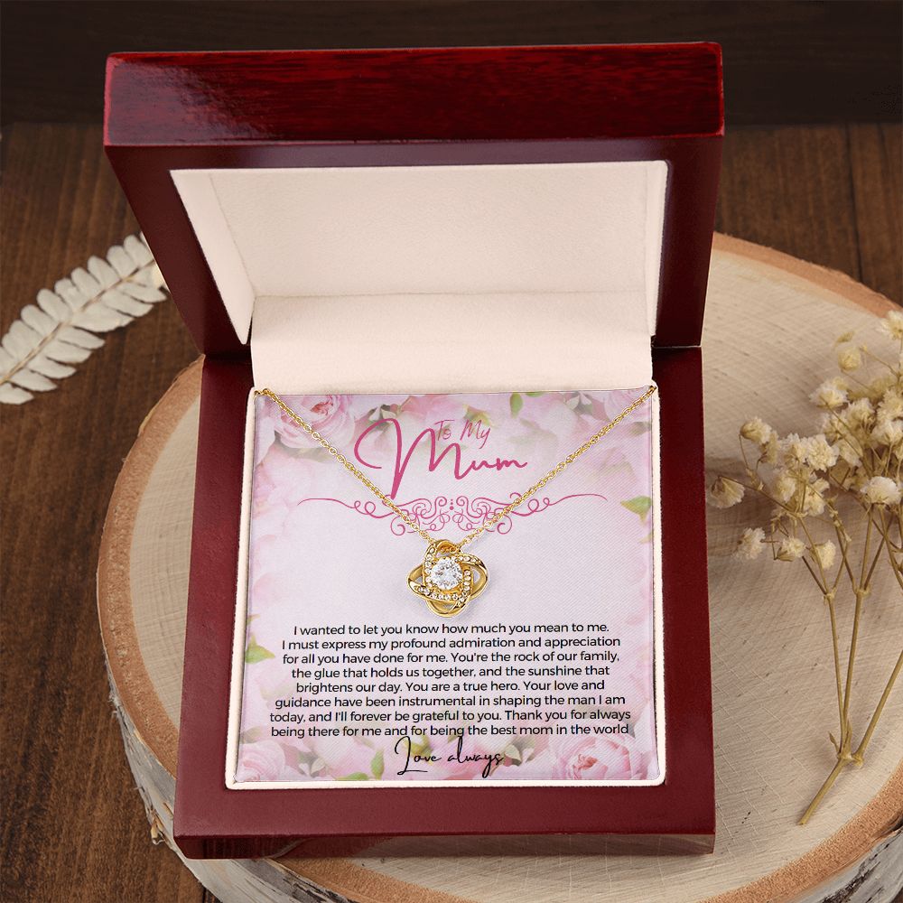 To My Mum I wanted to let you know how much you mean to me Necklace Jewelry From Son Gift for Mothers day