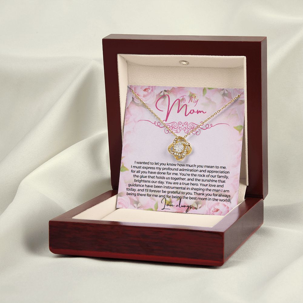 To My Mom I wanted to let you know how much you mean to me Necklace Jewelry From Son Gift for Mothers day