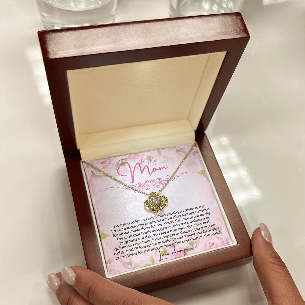 To My Mom I wanted to let you know how much you mean to me Necklace Jewelry From Son Gift for Mothers day