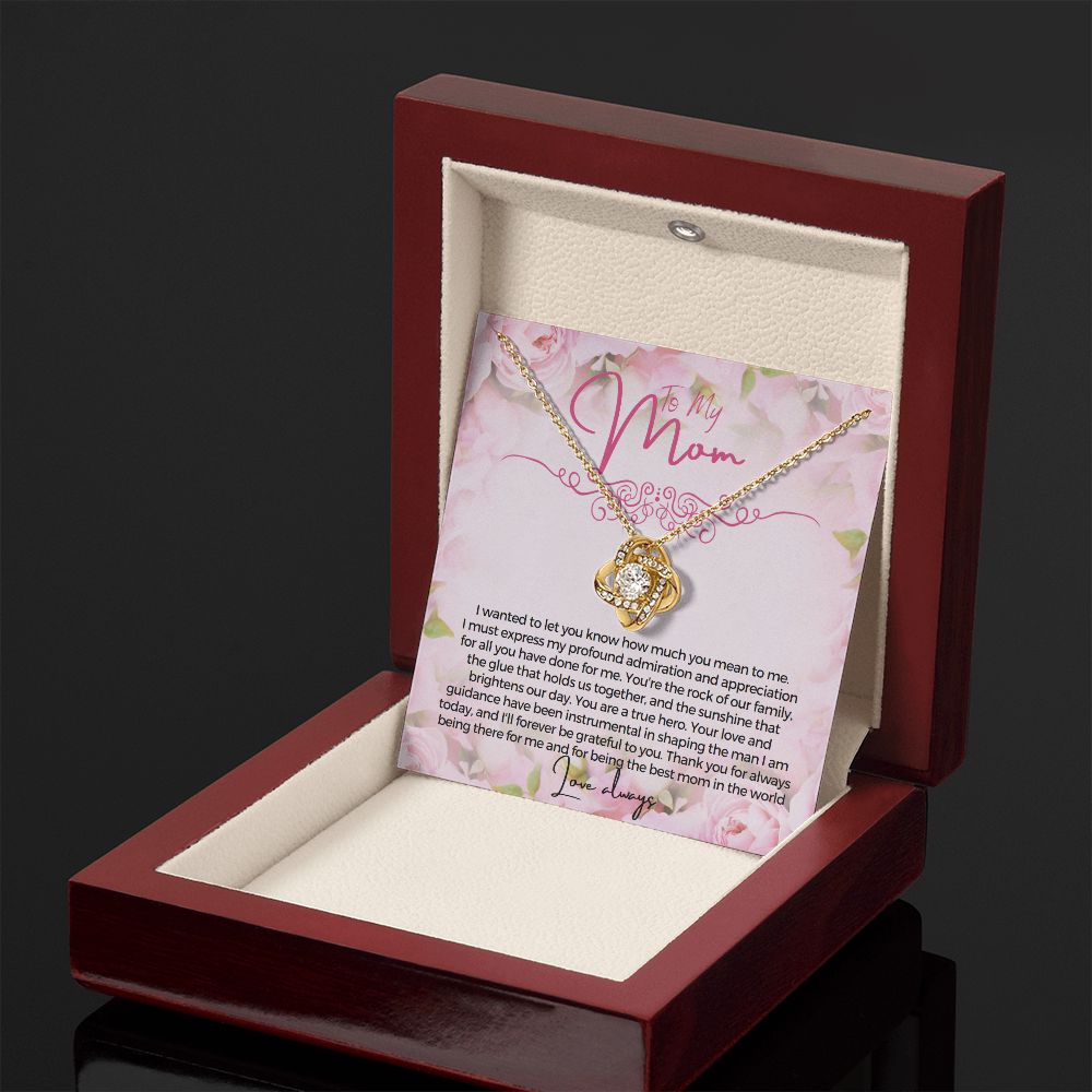 To My Mom I wanted to let you know how much you mean to me Necklace Jewelry From Son Gift for Mothers day